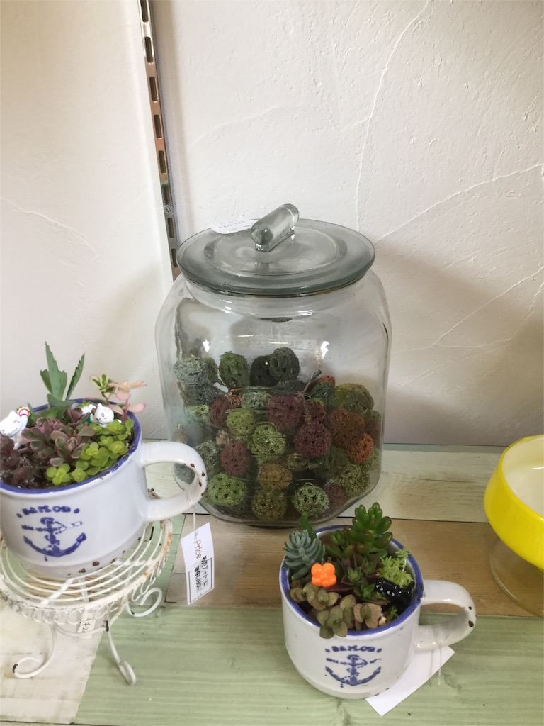 f:id:zappa38:20160801180947j:image