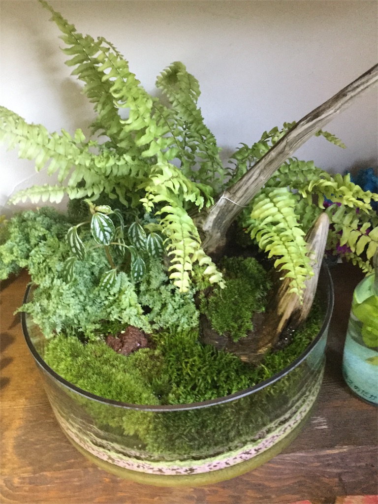 f:id:zappa38:20160807210000j:image f:id:zappa38:20160807210000j:image