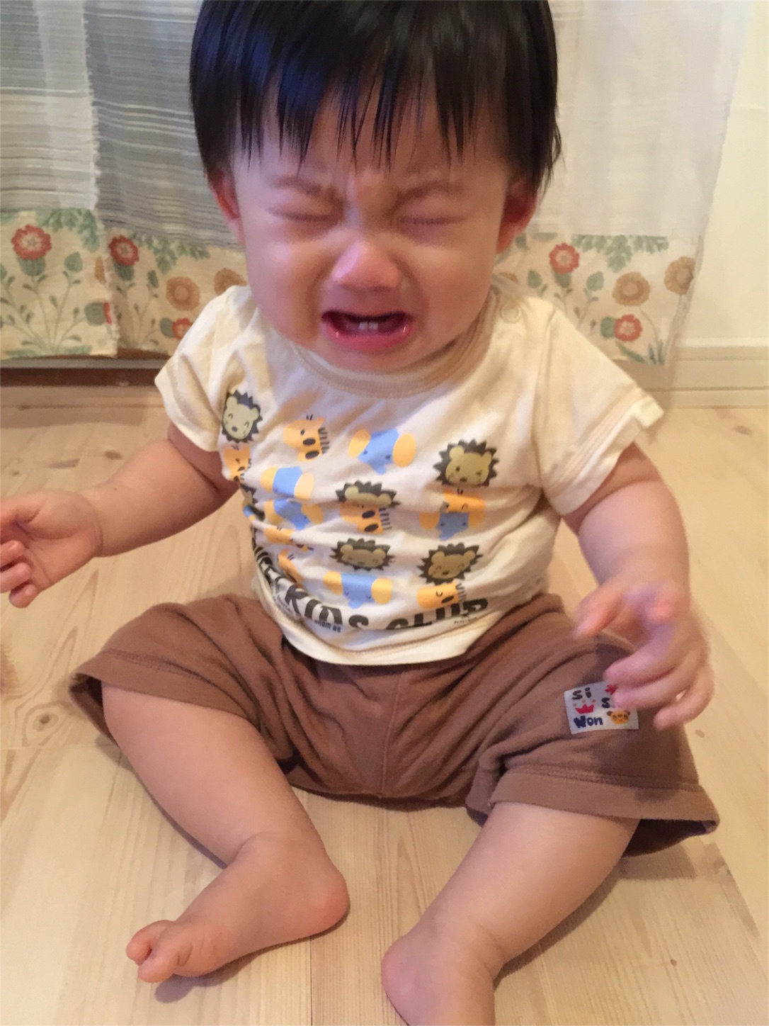 f:id:zappa38:20160930212504j:image