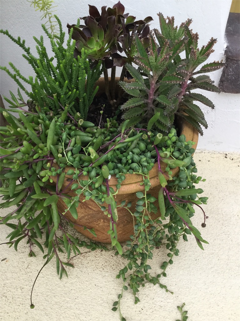 f:id:zappa38:20161001175032j:image