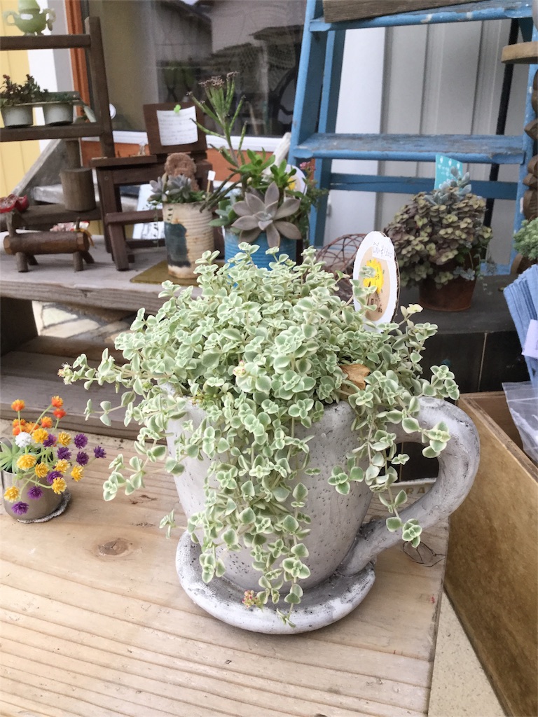 f:id:zappa38:20161001175056j:image