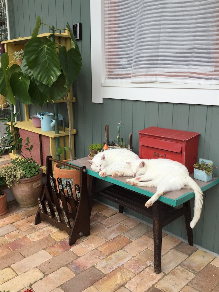 f:id:zappa38:20161001175249j:image