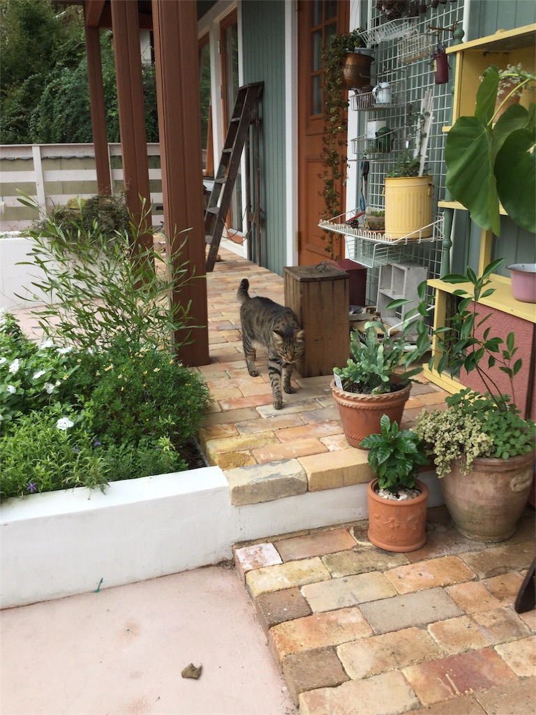 f:id:zappa38:20161001175302j:image