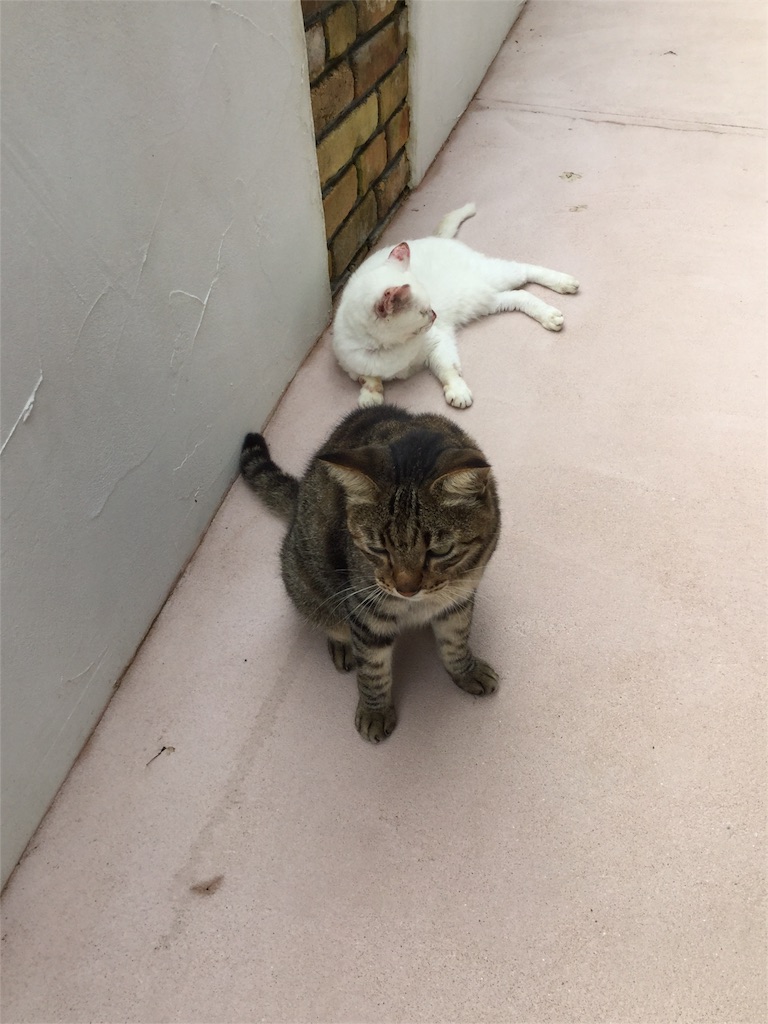 f:id:zappa38:20161001175312j:image