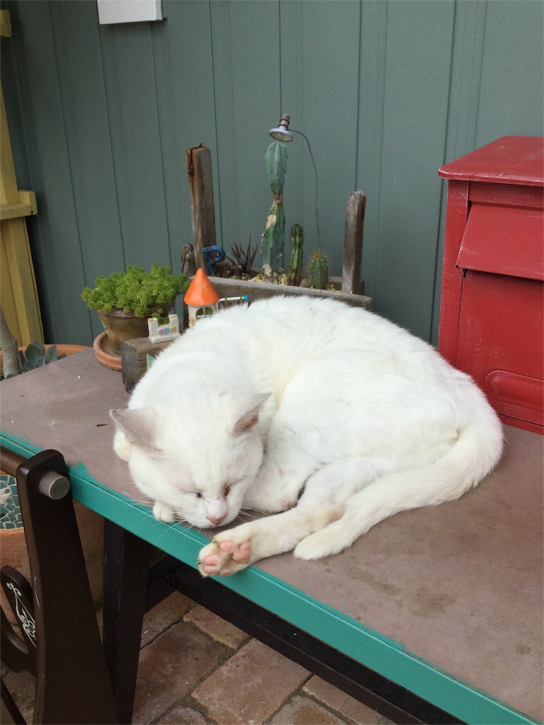 f:id:zappa38:20161001175322j:image