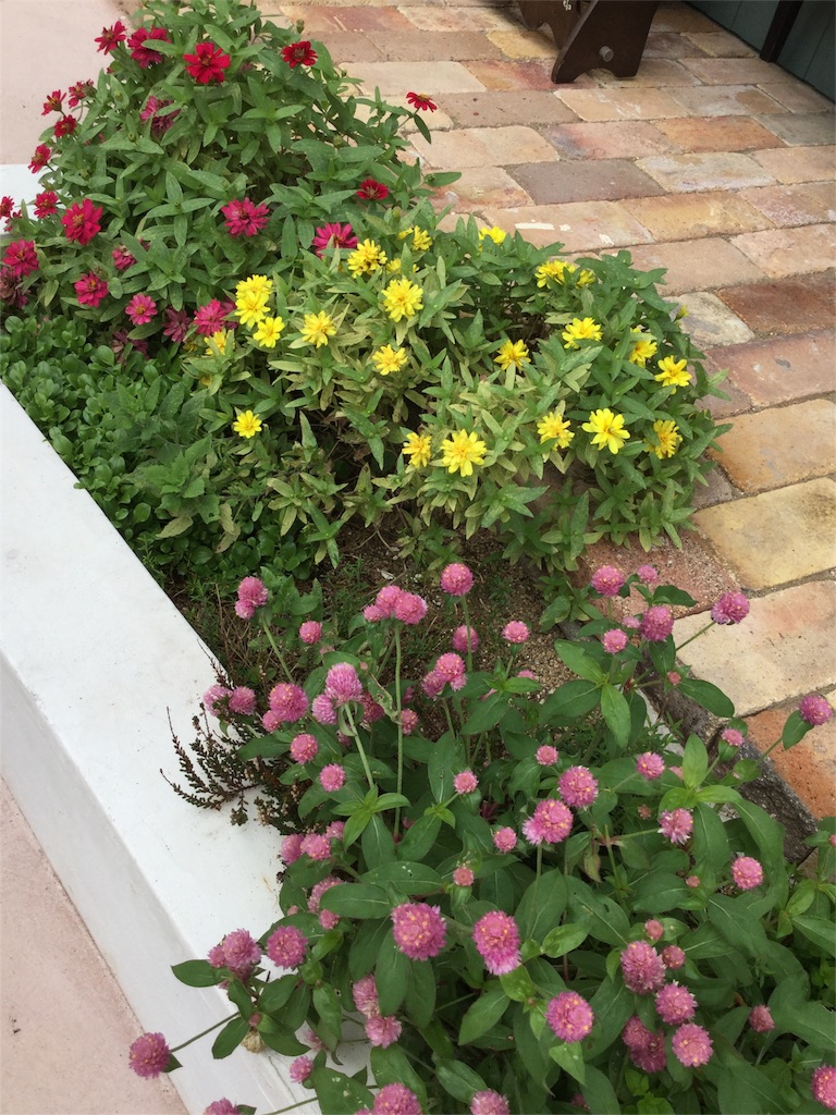 f:id:zappa38:20161001175333j:image