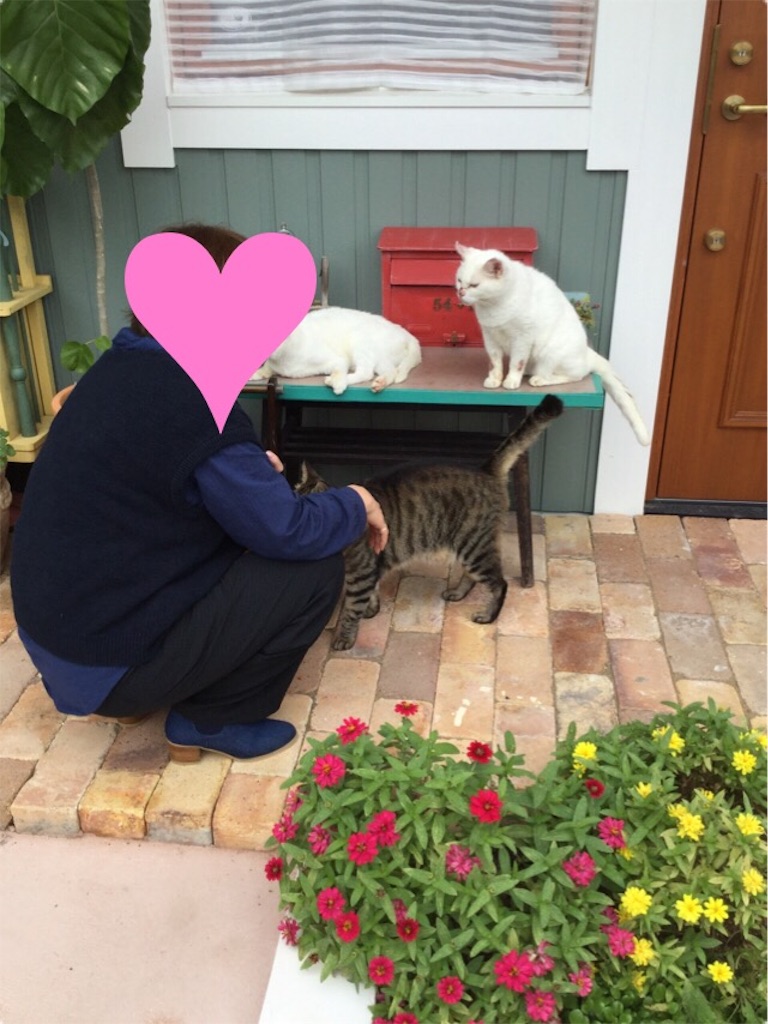 f:id:zappa38:20161001175433j:image