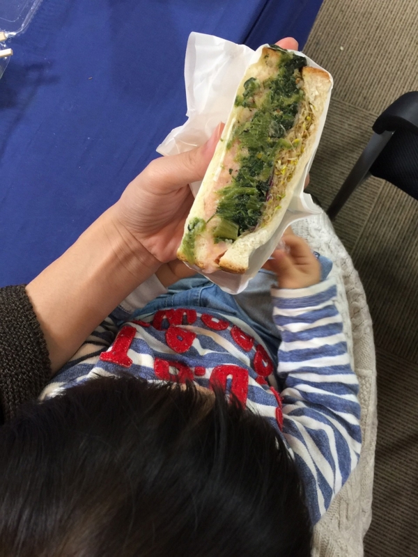 f:id:zappa38:20161114211105j:plain