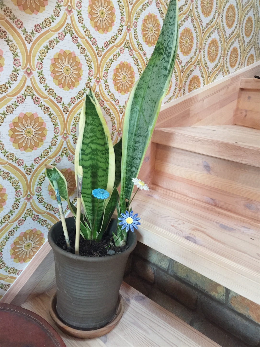 f:id:zappa38:20161115083722j:image