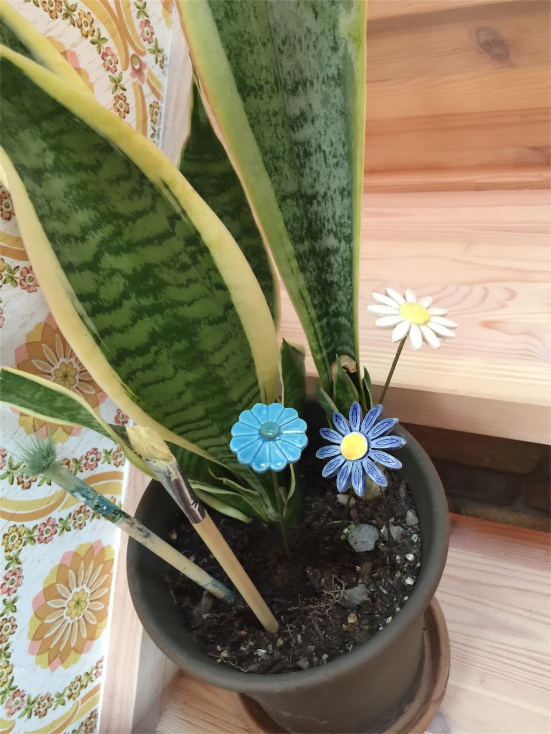 f:id:zappa38:20161115084219j:image