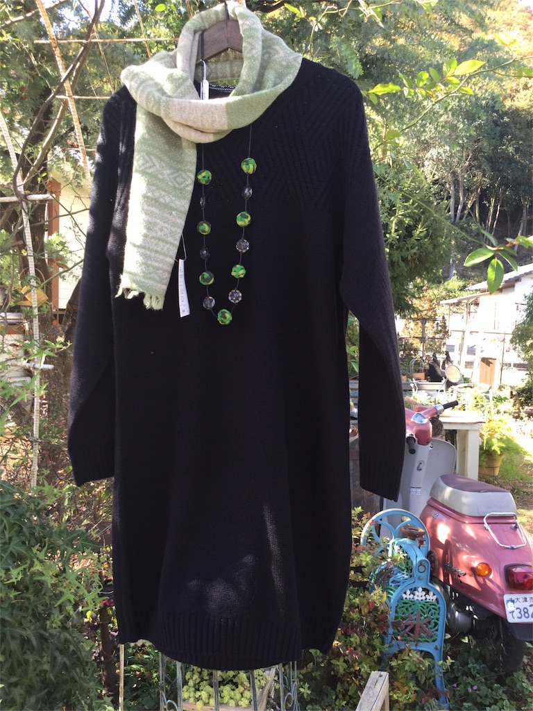 f:id:zappa38:20161124194354j:image