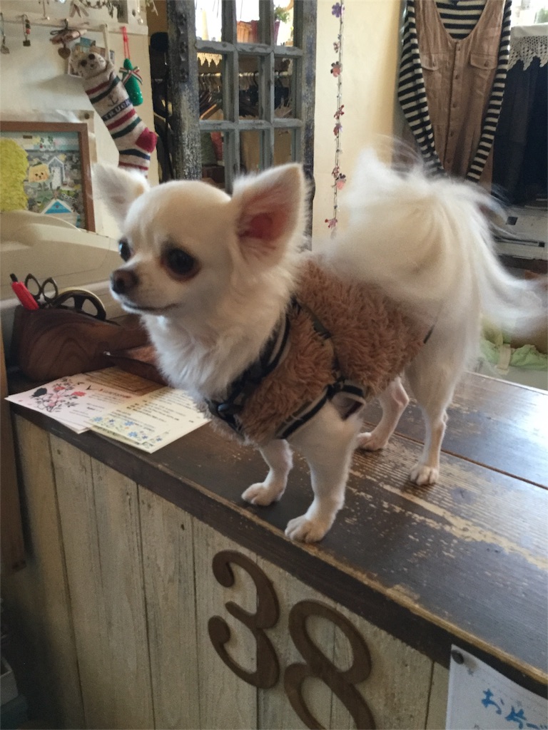 f:id:zappa38:20161124194405j:image