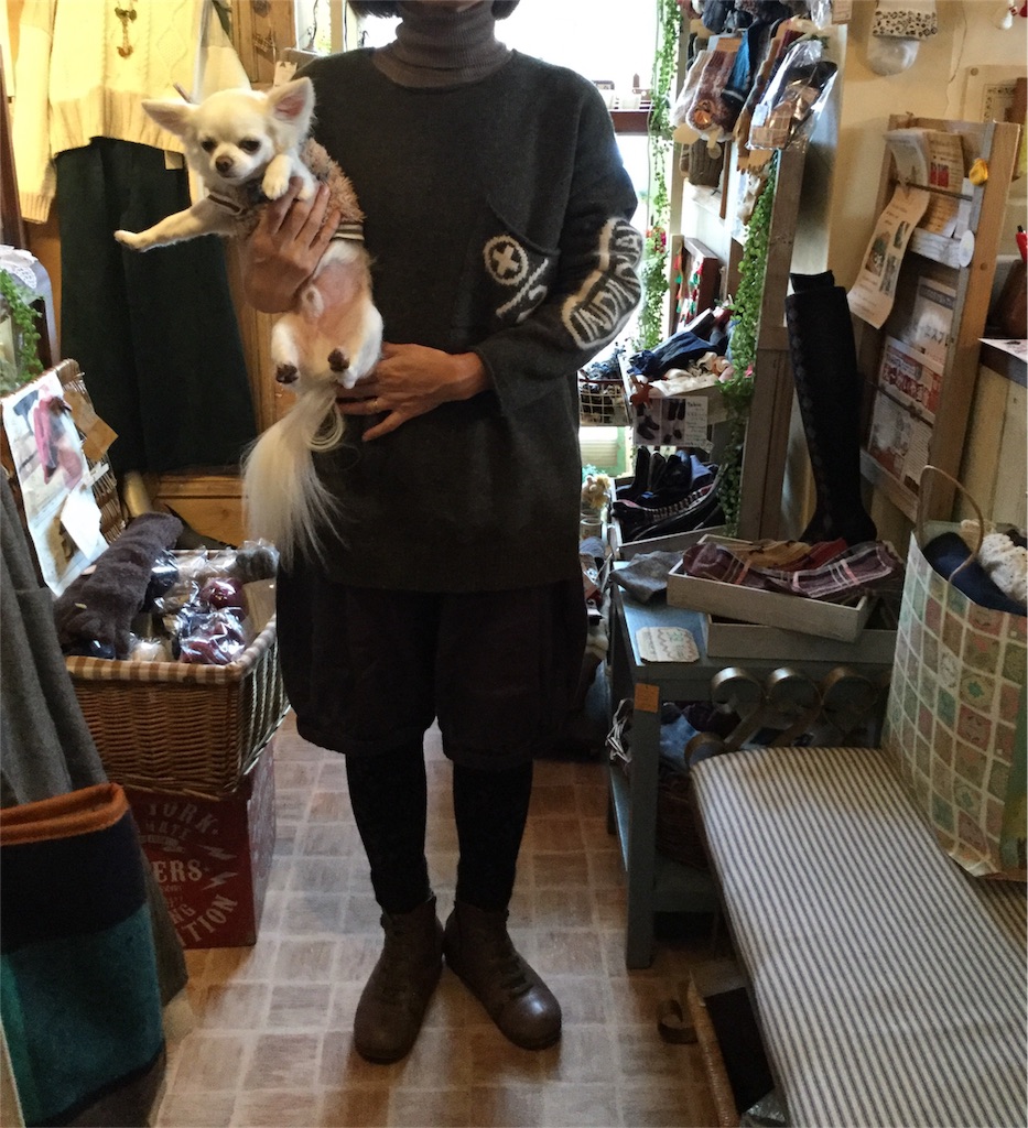 f:id:zappa38:20161124194425j:image