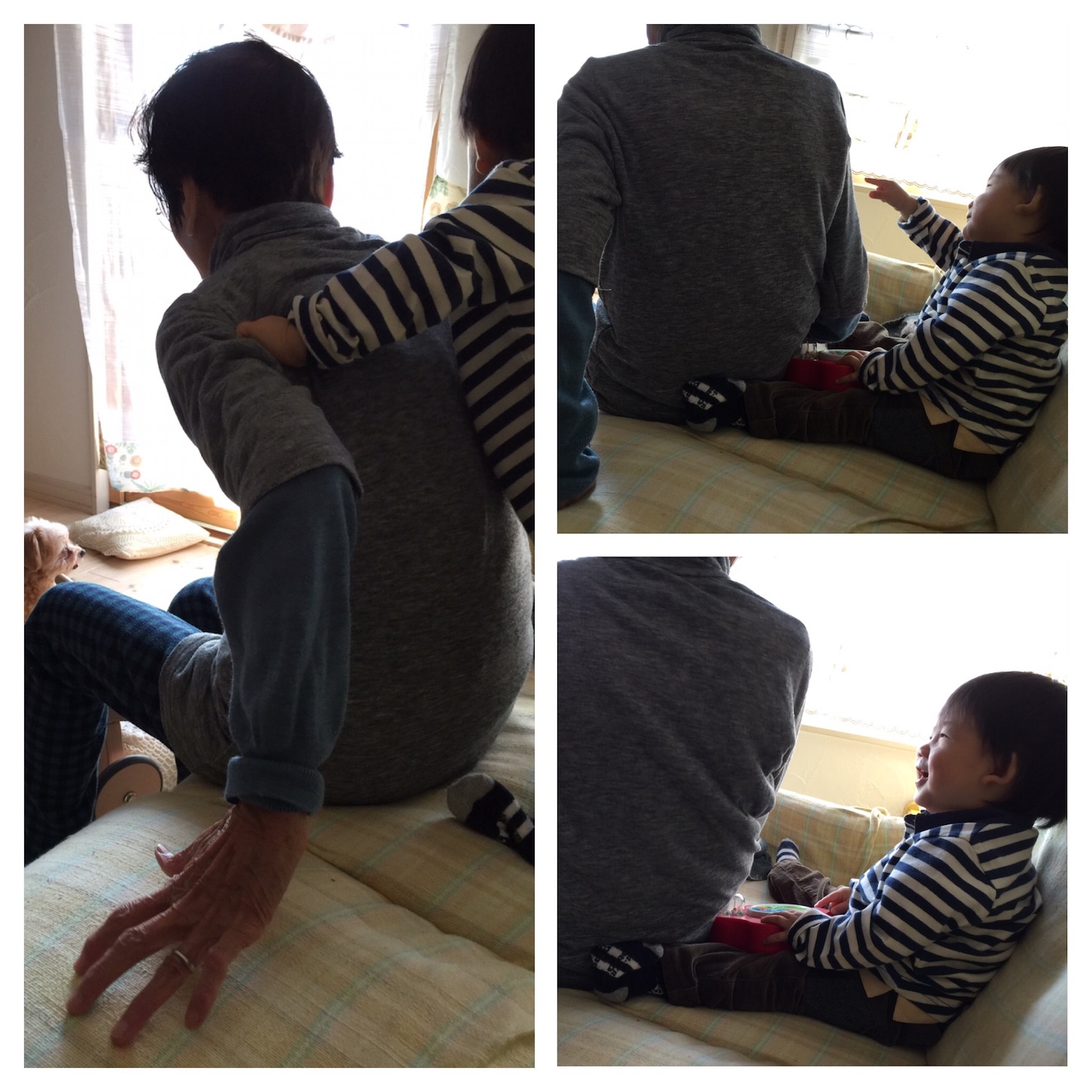 f:id:zappa38:20161202202318j:plain