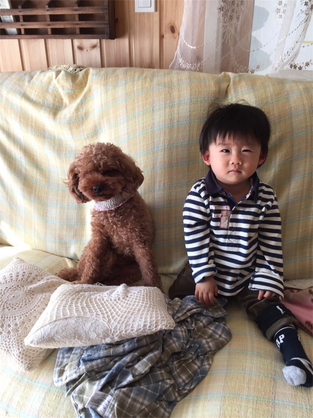 f:id:zappa38:20161202202334j:image