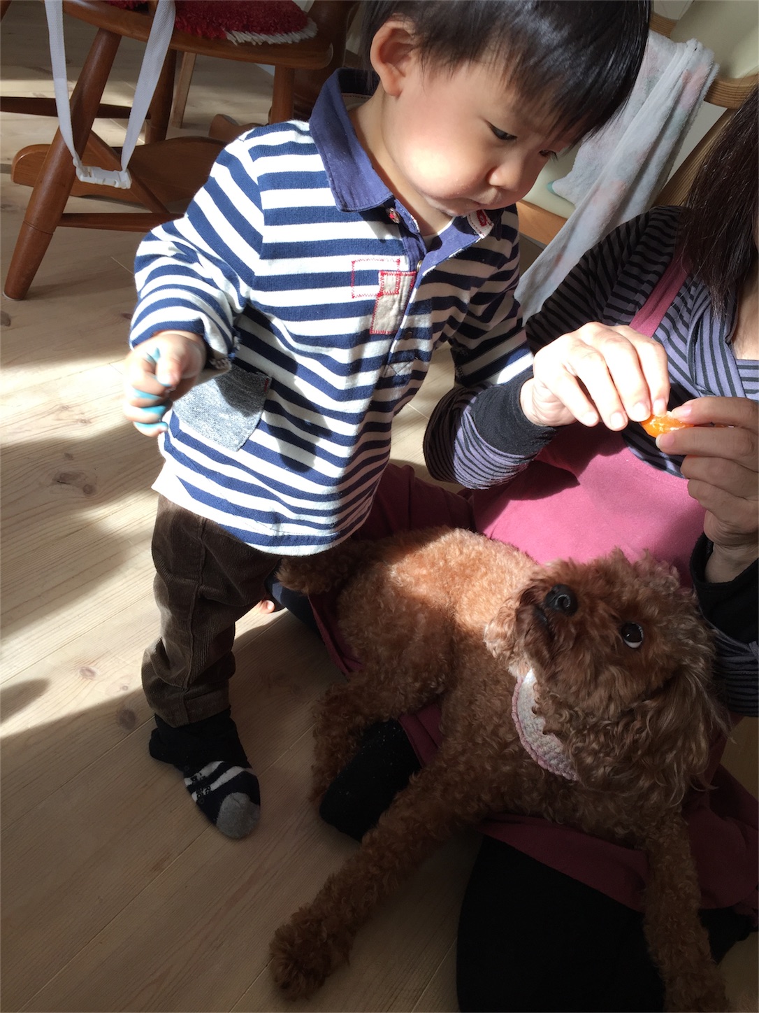 f:id:zappa38:20161202202351j:image