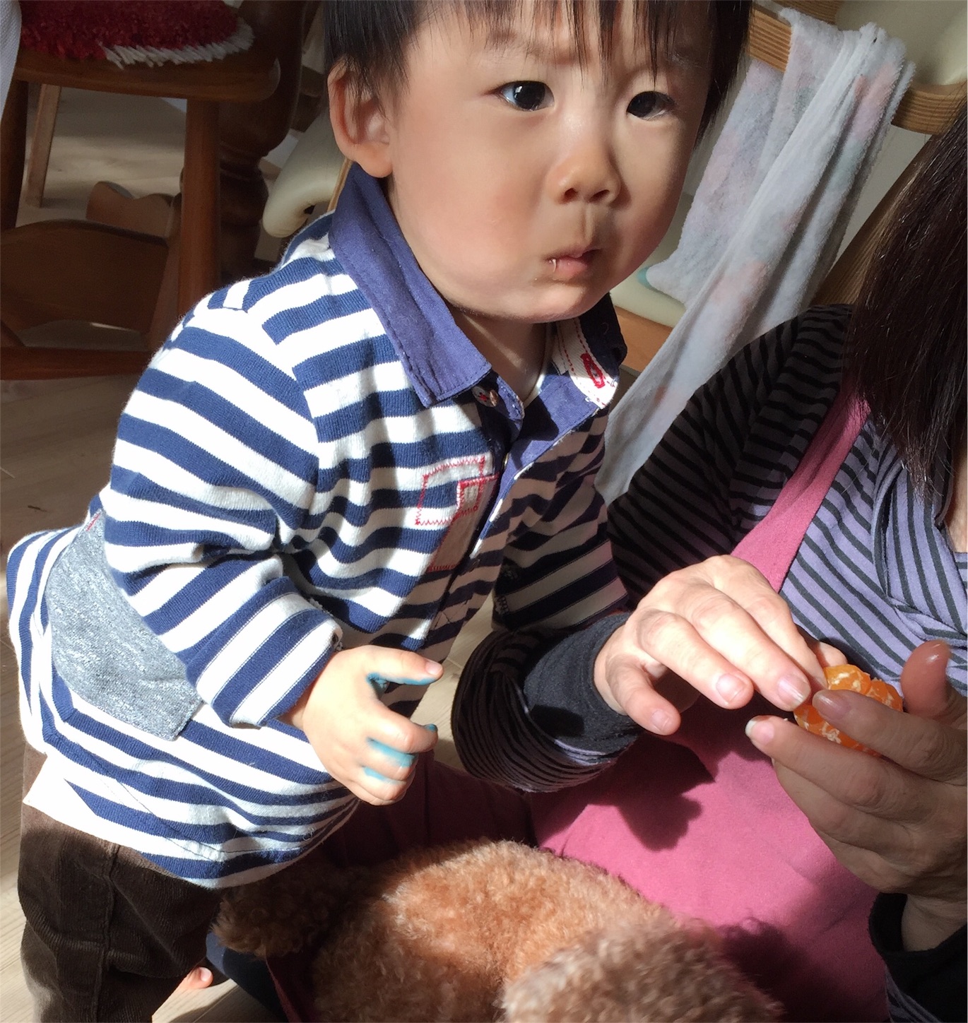 f:id:zappa38:20161202202356j:image