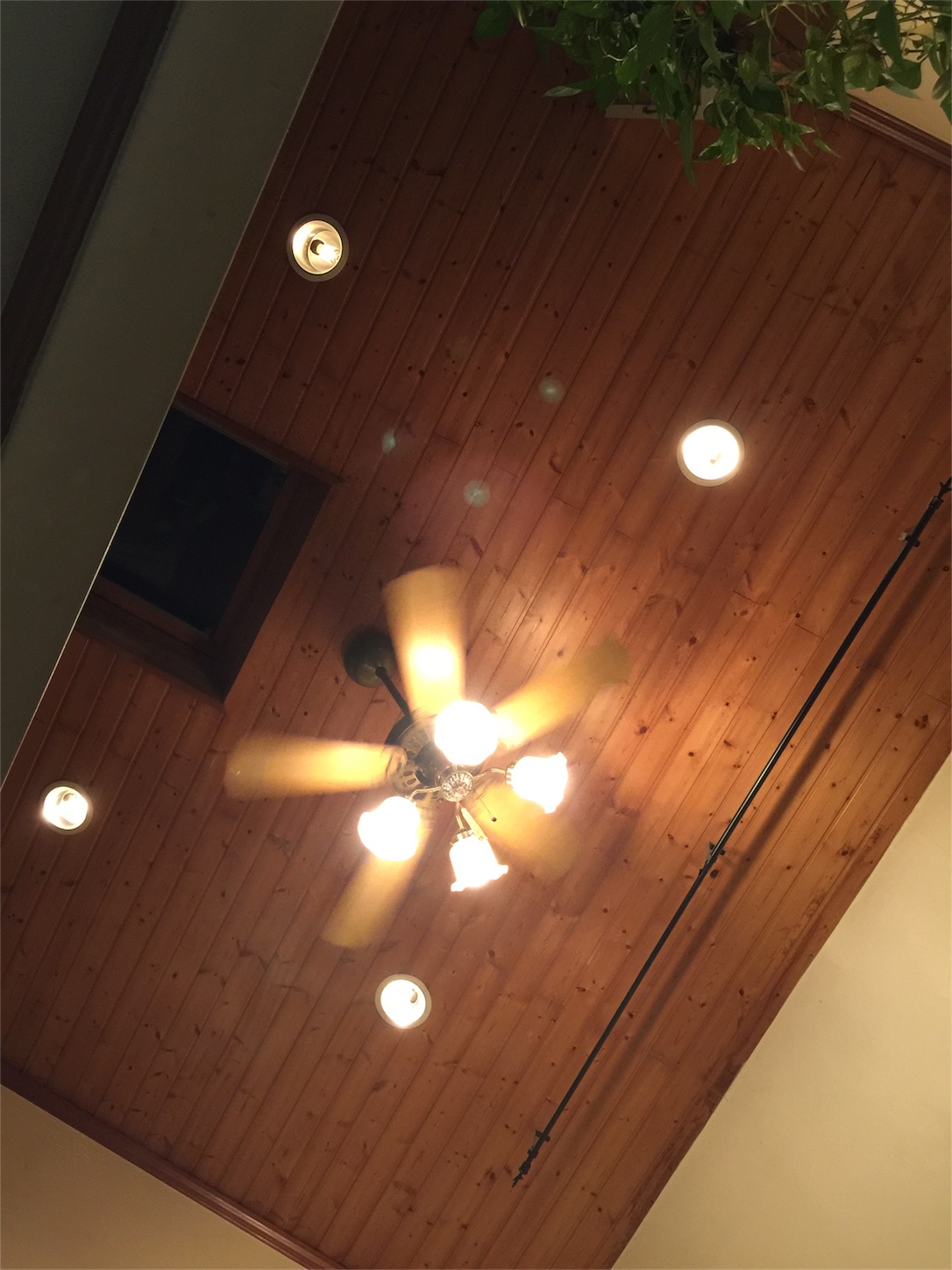 f:id:zappa38:20161204184224j:image