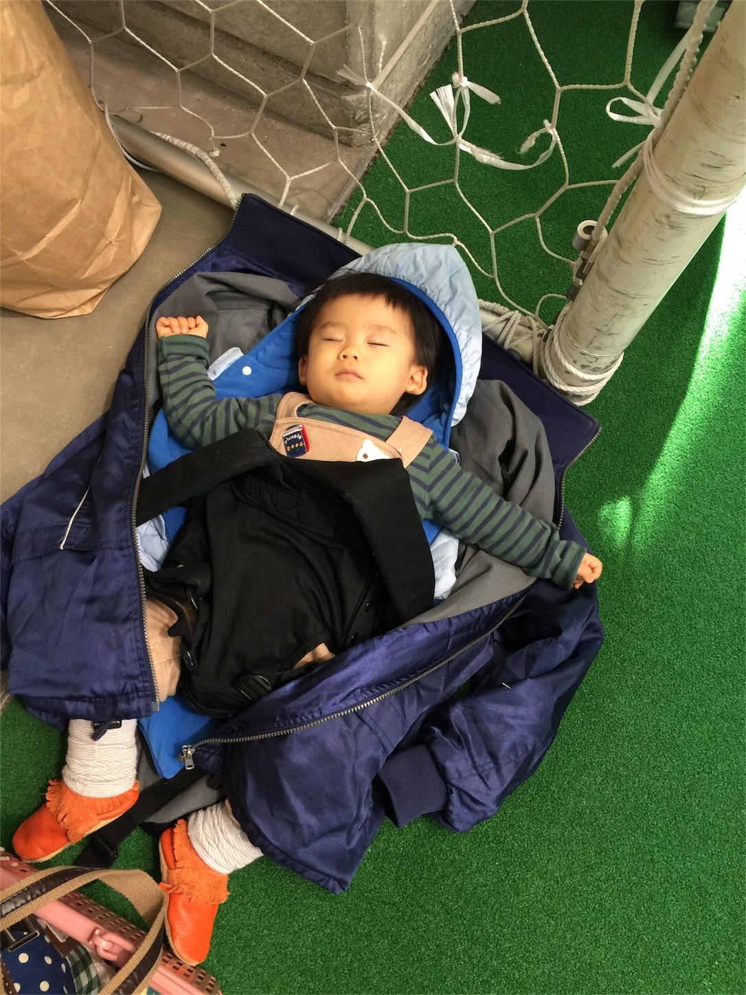 f:id:zappa38:20161218203232j:image