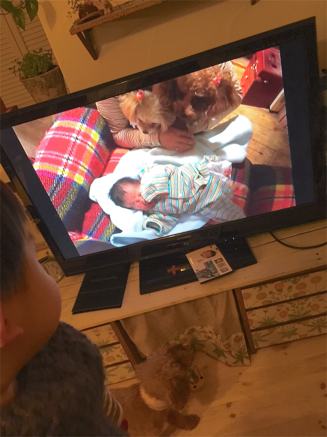 f:id:zappa38:20161218203811j:image