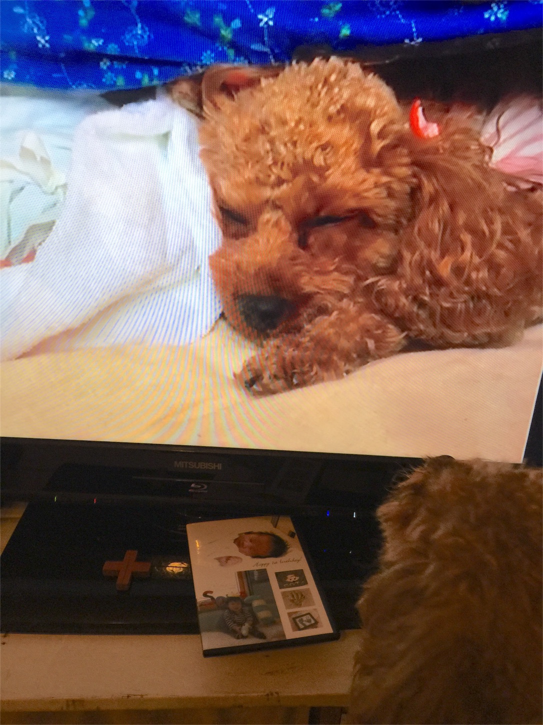 f:id:zappa38:20161218203815j:image