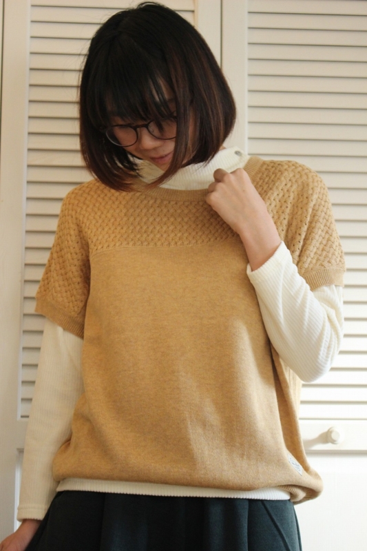 f:id:zappa38:20170104203133j:plain f:id:zappa38:20170104203133j:plain