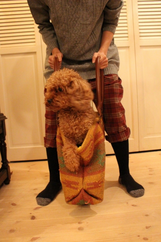 f:id:zappa38:20170104203202j:plain f:id:zappa38:20170104203202j:plain