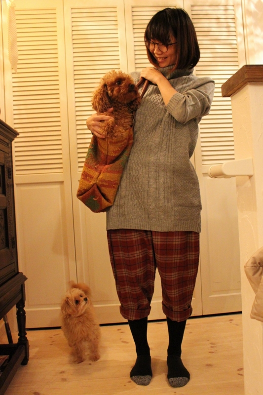 f:id:zappa38:20170104203203j:plain f:id:zappa38:20170104203203j:plain