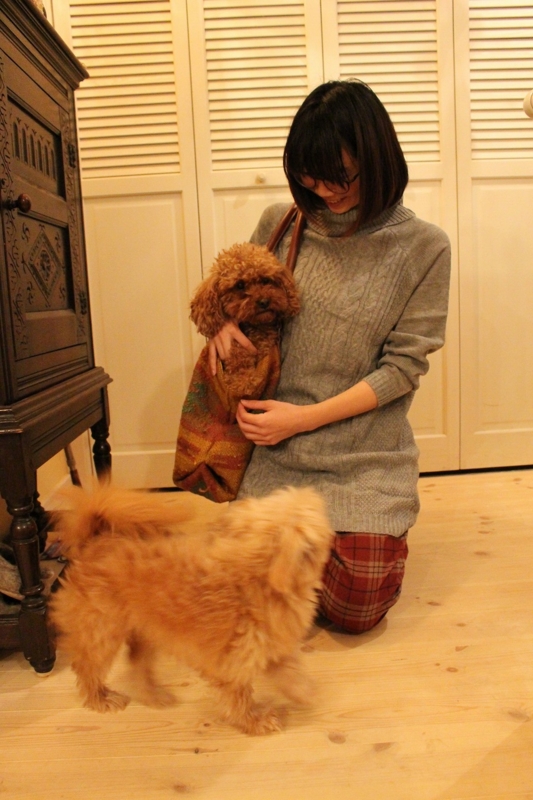 f:id:zappa38:20170104203204j:plain f:id:zappa38:20170104203204j:plain