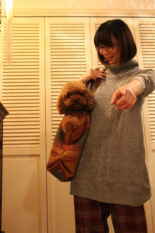 f:id:zappa38:20170104203206j:plain f:id:zappa38:20170104203206j:plain