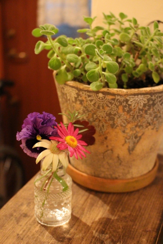 f:id:zappa38:20170104203211j:plain f:id:zappa38:20170104203211j:plain