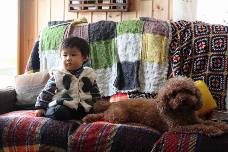 f:id:zappa38:20170105204829j:plain