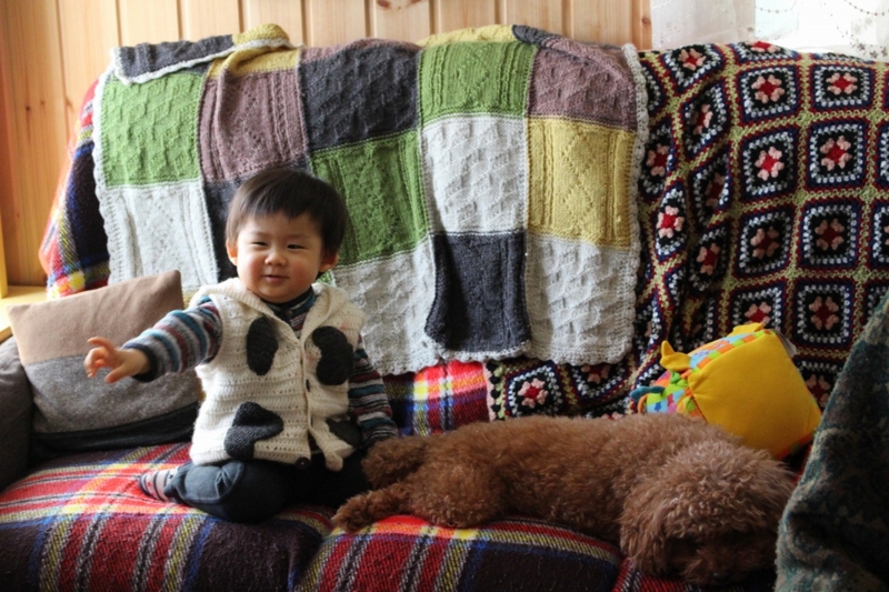 f:id:zappa38:20170105204831j:plain