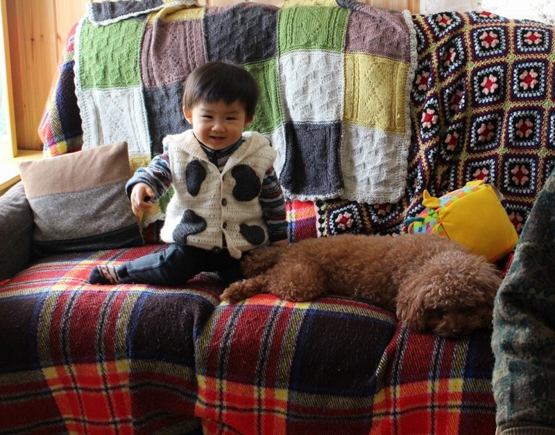 f:id:zappa38:20170105204832j:plain