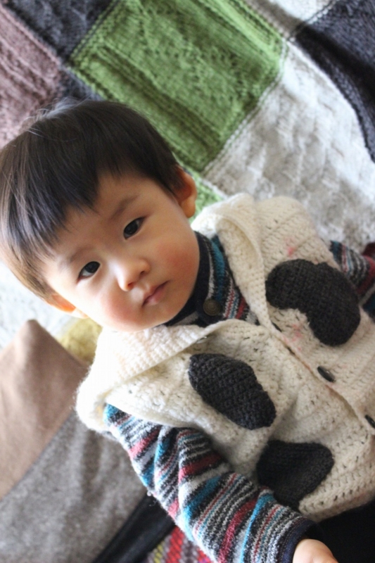 f:id:zappa38:20170105204833j:plain