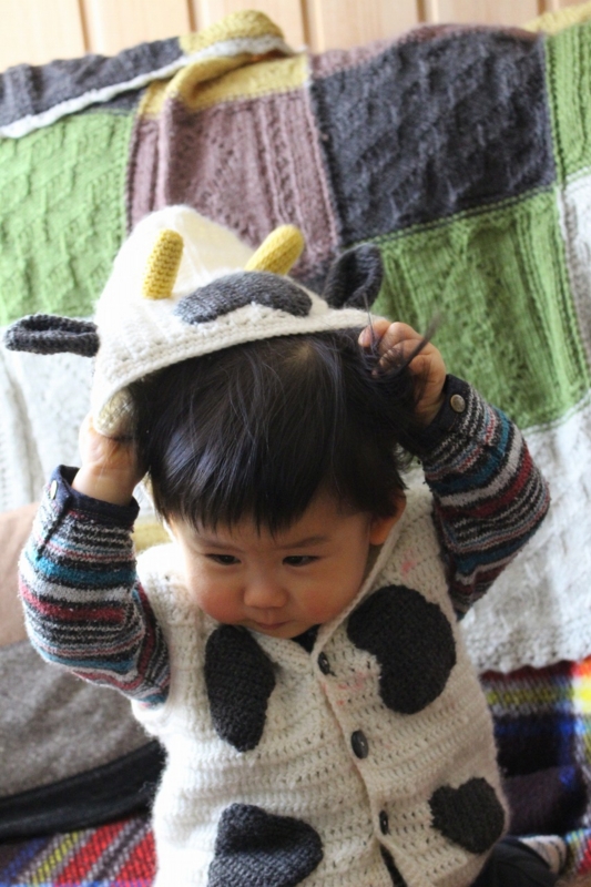 f:id:zappa38:20170105204834j:plain