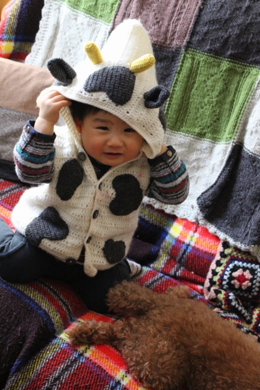 f:id:zappa38:20170105204835j:plain