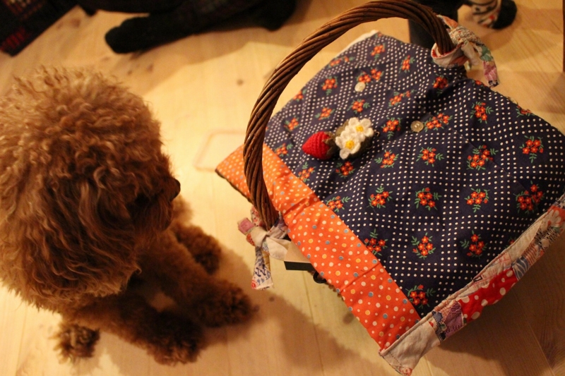 f:id:zappa38:20170105204930j:plain