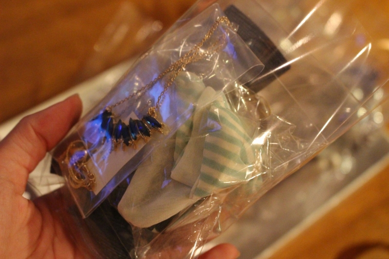 f:id:zappa38:20170105204937j:plain