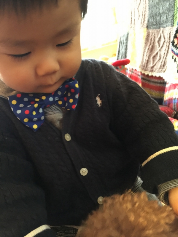 f:id:zappa38:20170106214613j:plain