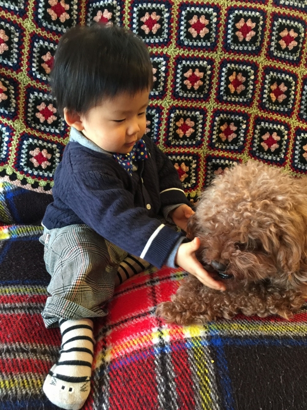 f:id:zappa38:20170106214614j:plain