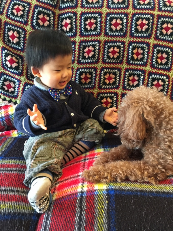 f:id:zappa38:20170106214615j:plain