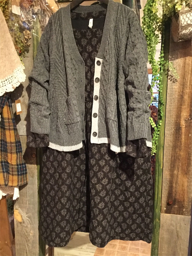 f:id:zappa38:20170127194823j:image