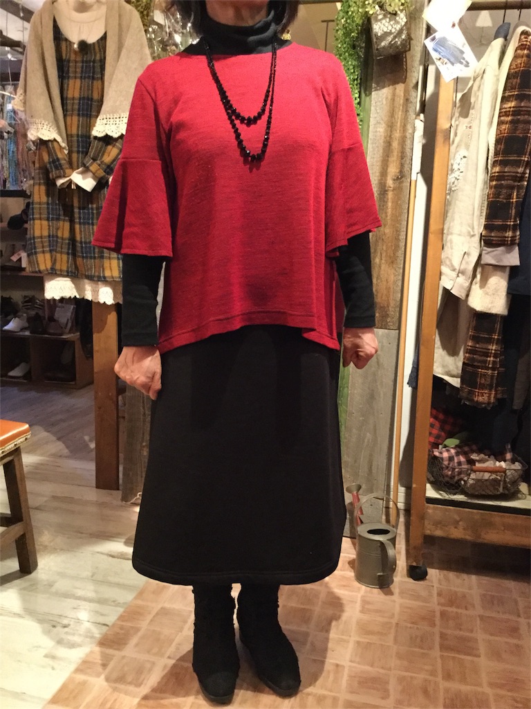 f:id:zappa38:20170127195506j:image