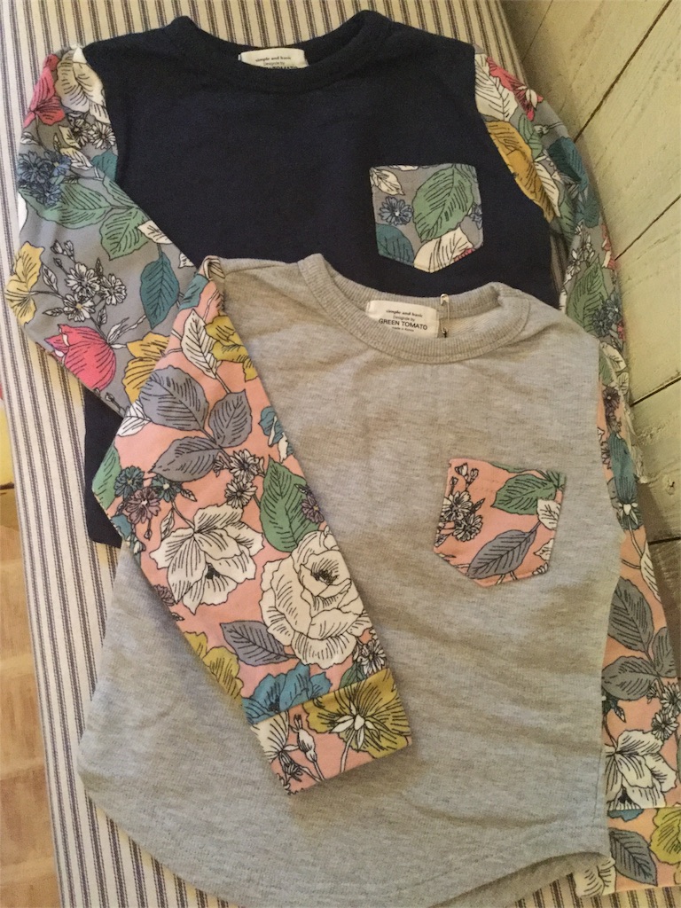 f:id:zappa38:20170218192246j:image