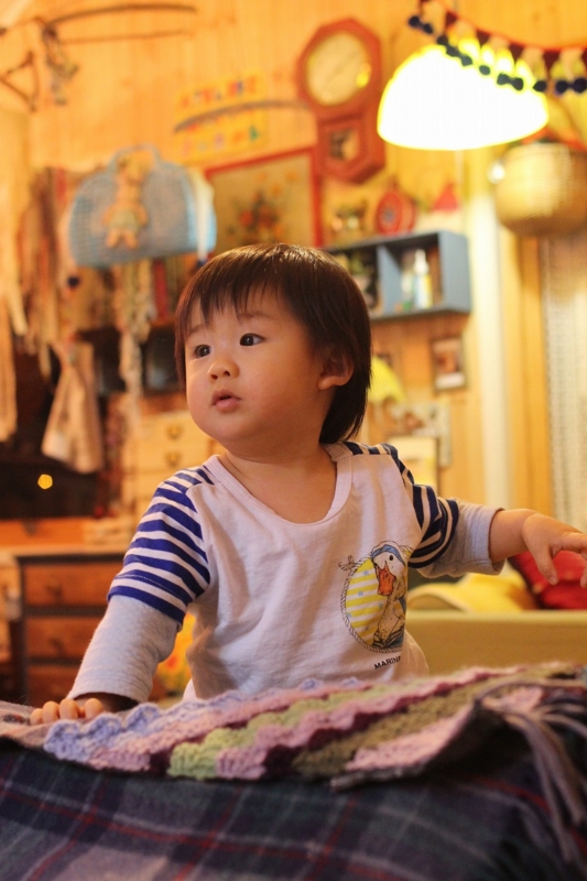 f:id:zappa38:20170228072856j:plain f:id:zappa38:20170228072856j:plain