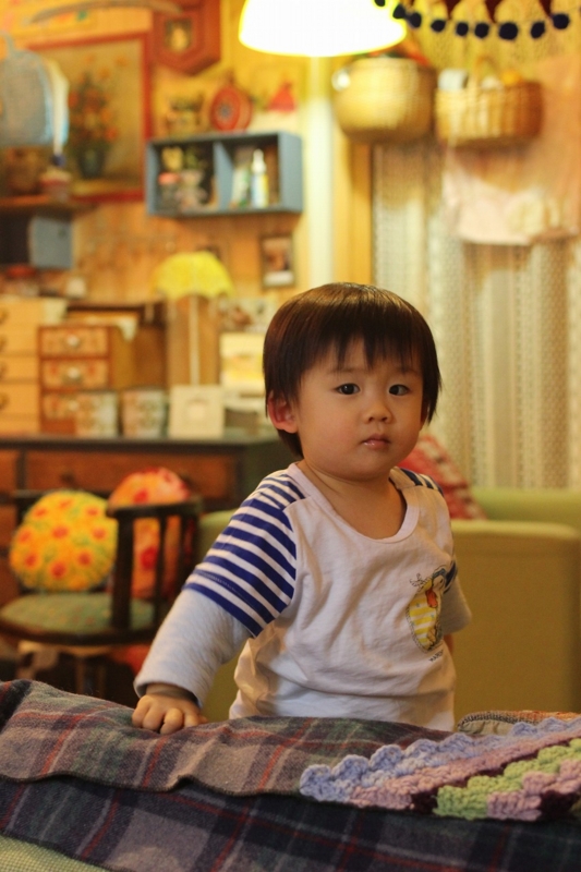 f:id:zappa38:20170228072858j:plain f:id:zappa38:20170228072858j:plain