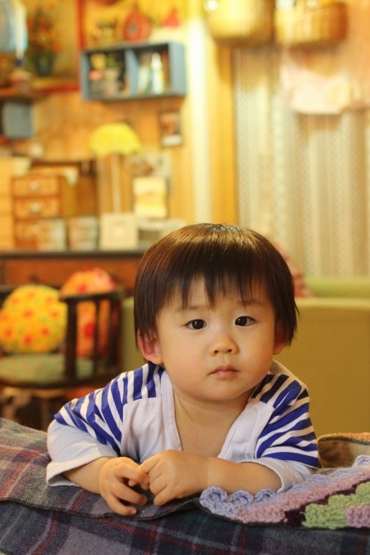 f:id:zappa38:20170228072900j:plain f:id:zappa38:20170228072900j:plain