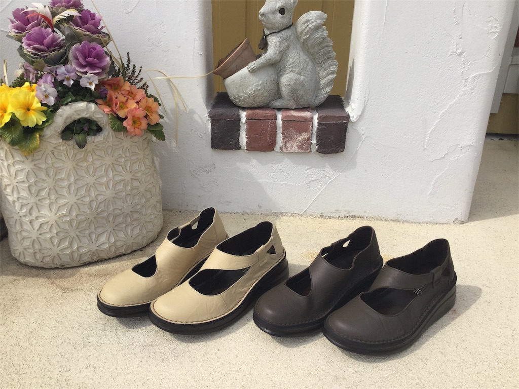 f:id:zappa38:20170305213335j:image