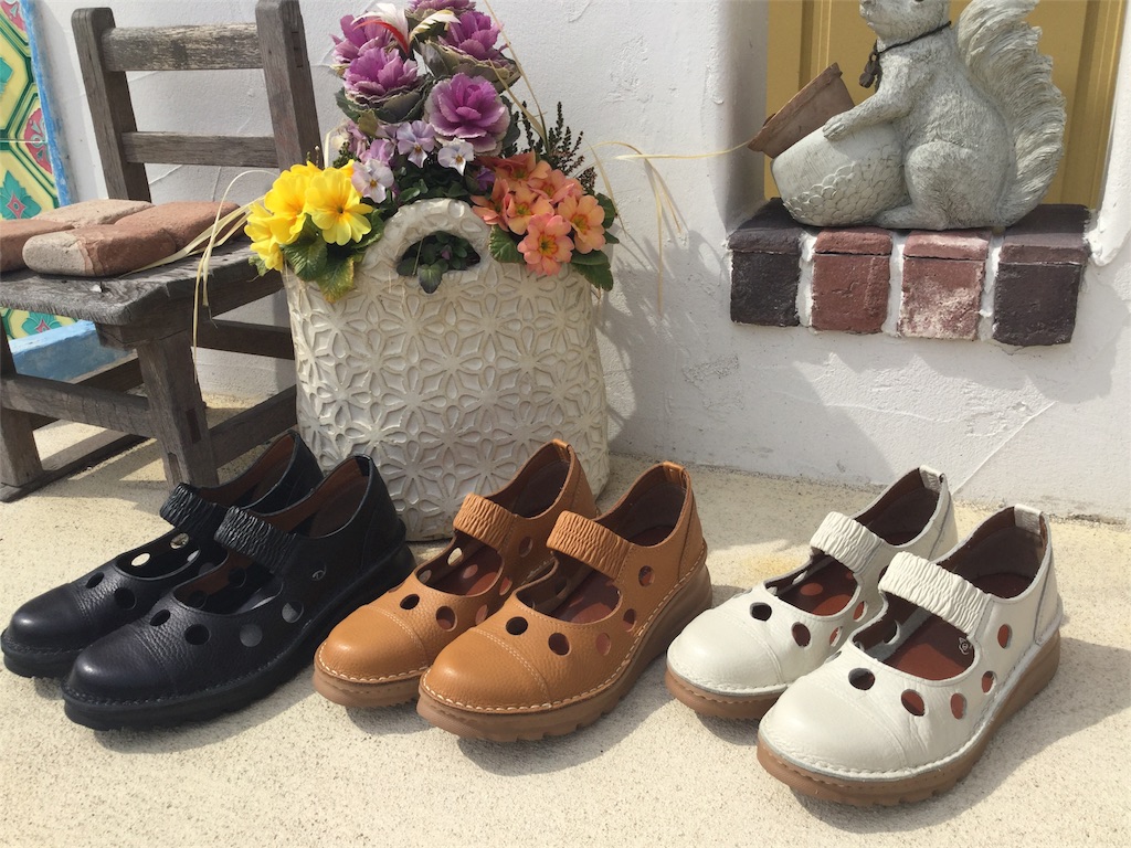 f:id:zappa38:20170305213419j:image